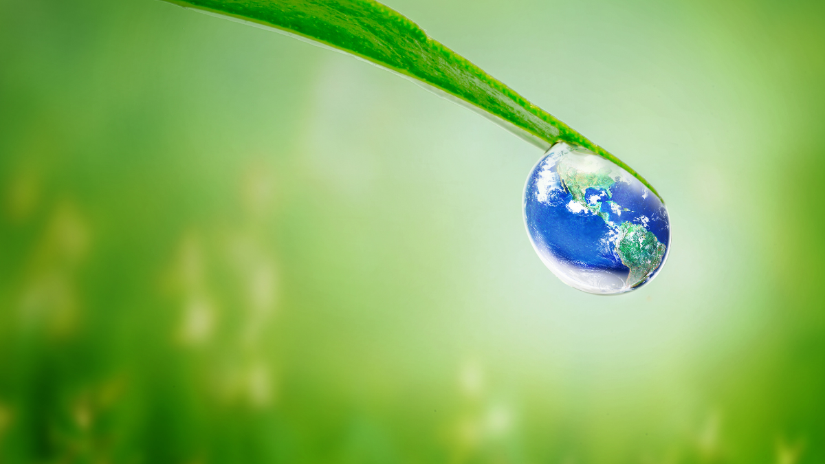 Easy Peasy Eco-Friendly Swaps for a Brighter Future